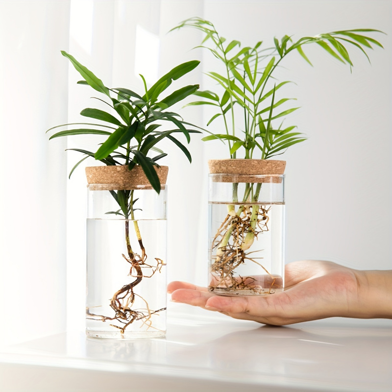 Propagation Station Vase - 1 шт., Настольная Ваза для растений