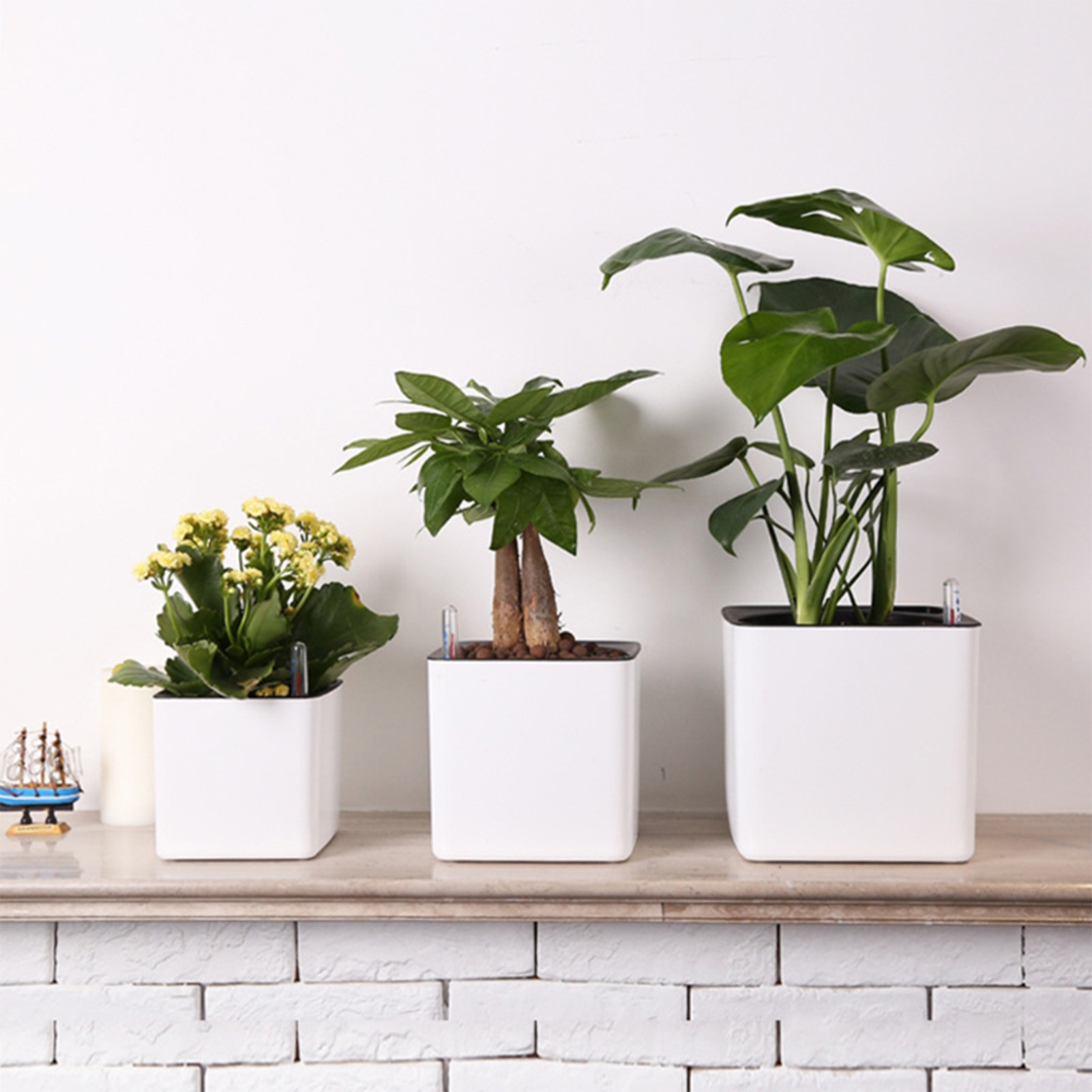 Self Watering Insert - Кашпо с автополивом, горшок с индикатором