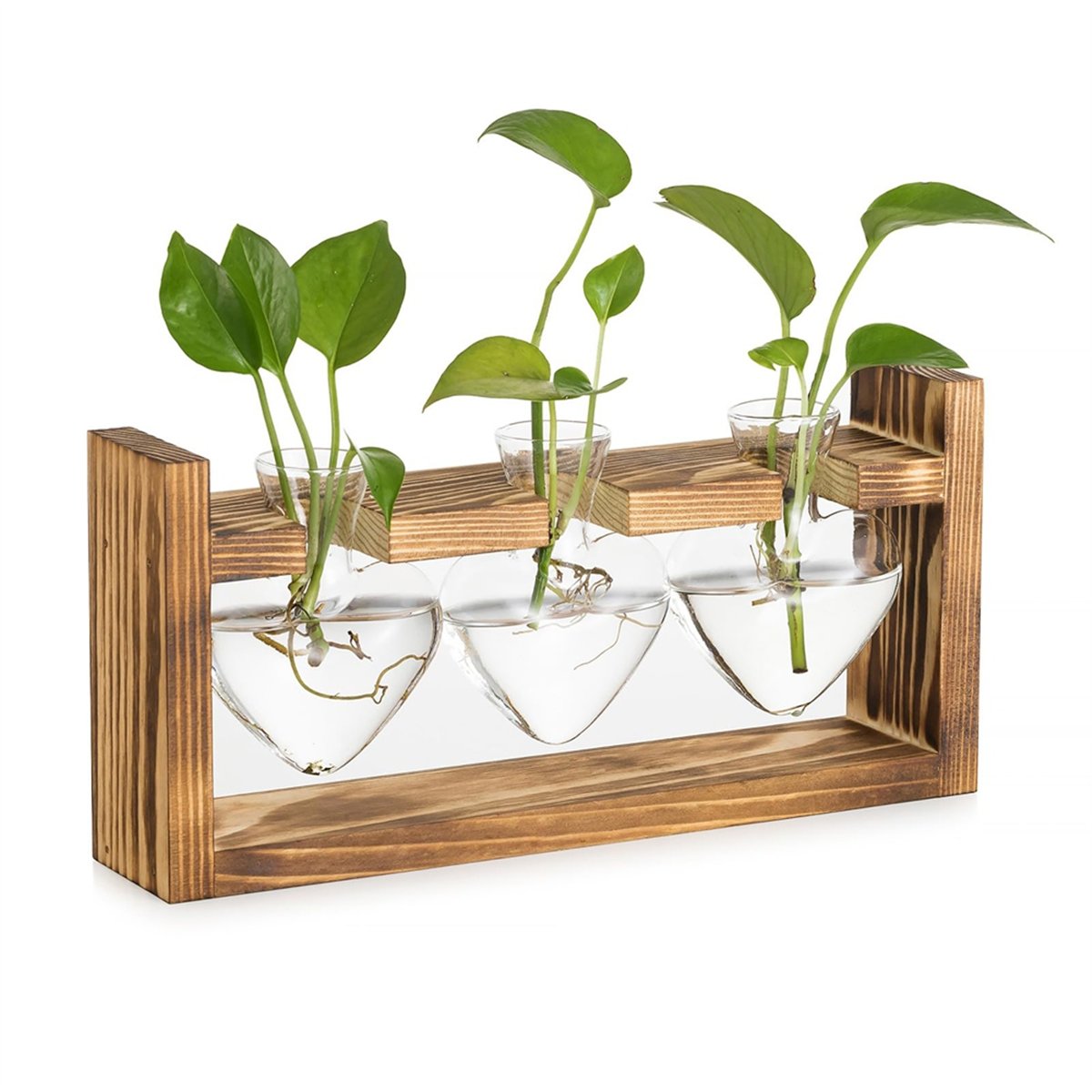 Стеклянная станция для размнож – обзор и цена Propagation Station Vase