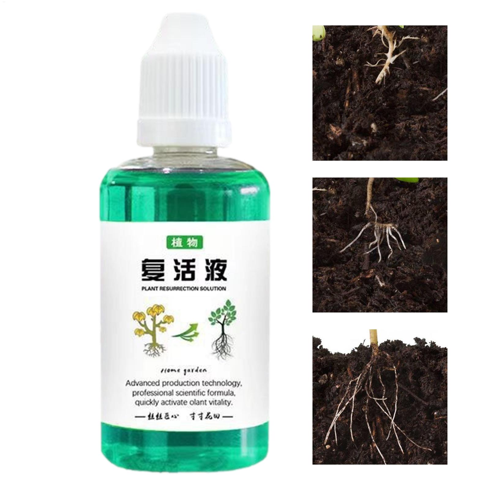50 мл Стимулятор корнеобразова – обзор и цена Root Stimulator Liquid