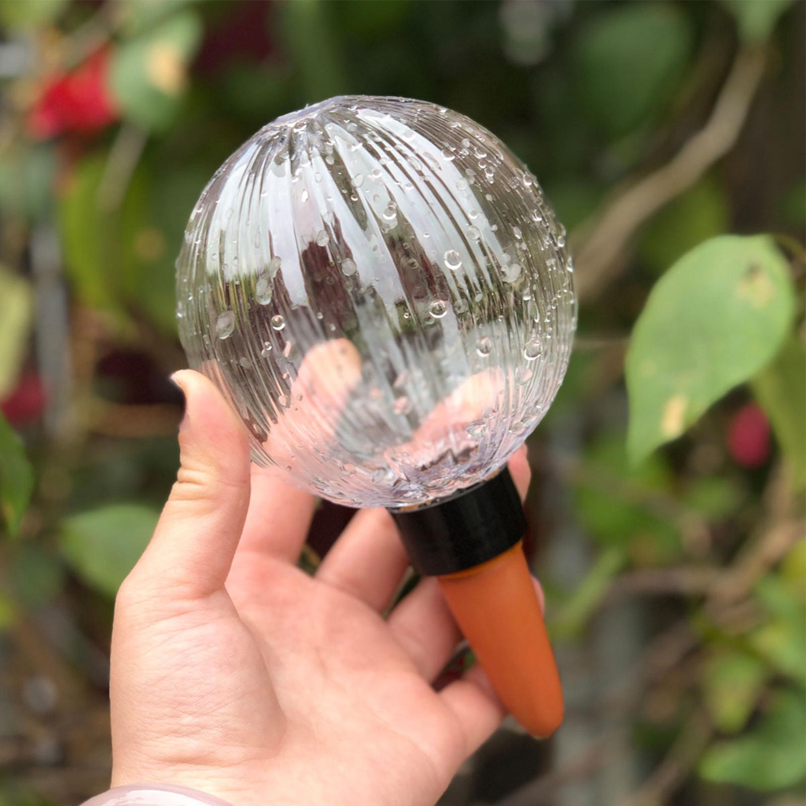 Самополивающийся вкладыш для к – обзор и цена Self Watering Insert