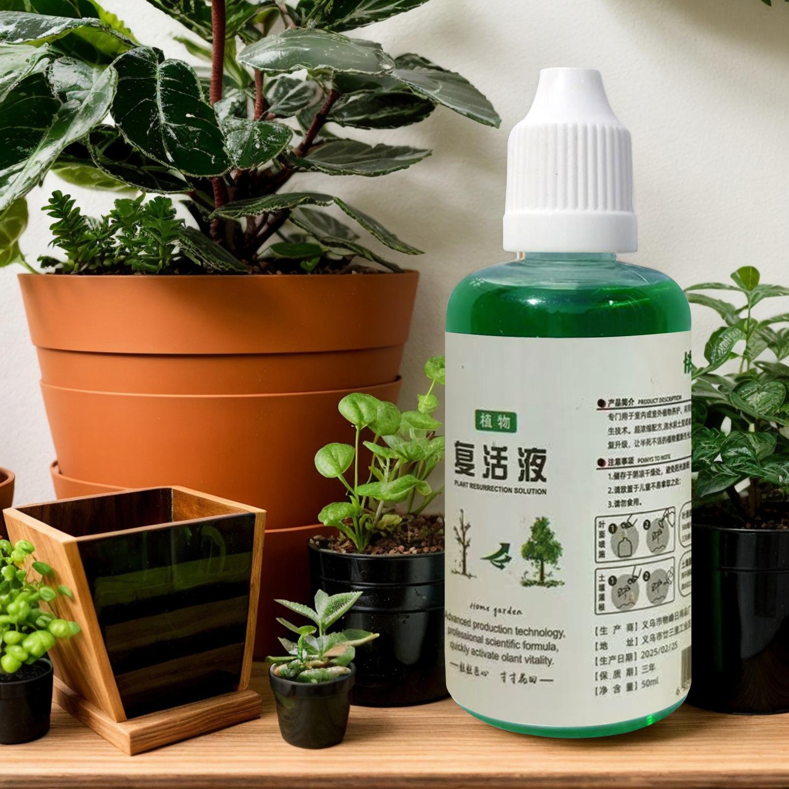 Стимулятор корнеобразования дл – обзор и цена Root Stimulator Liquid