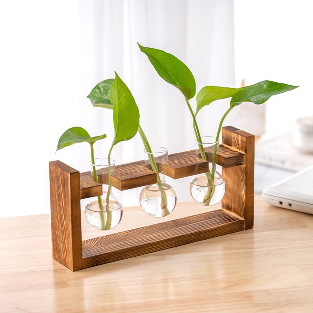 Вазы для домашнего офиса, гидр – обзор и цена Propagation Station Vase