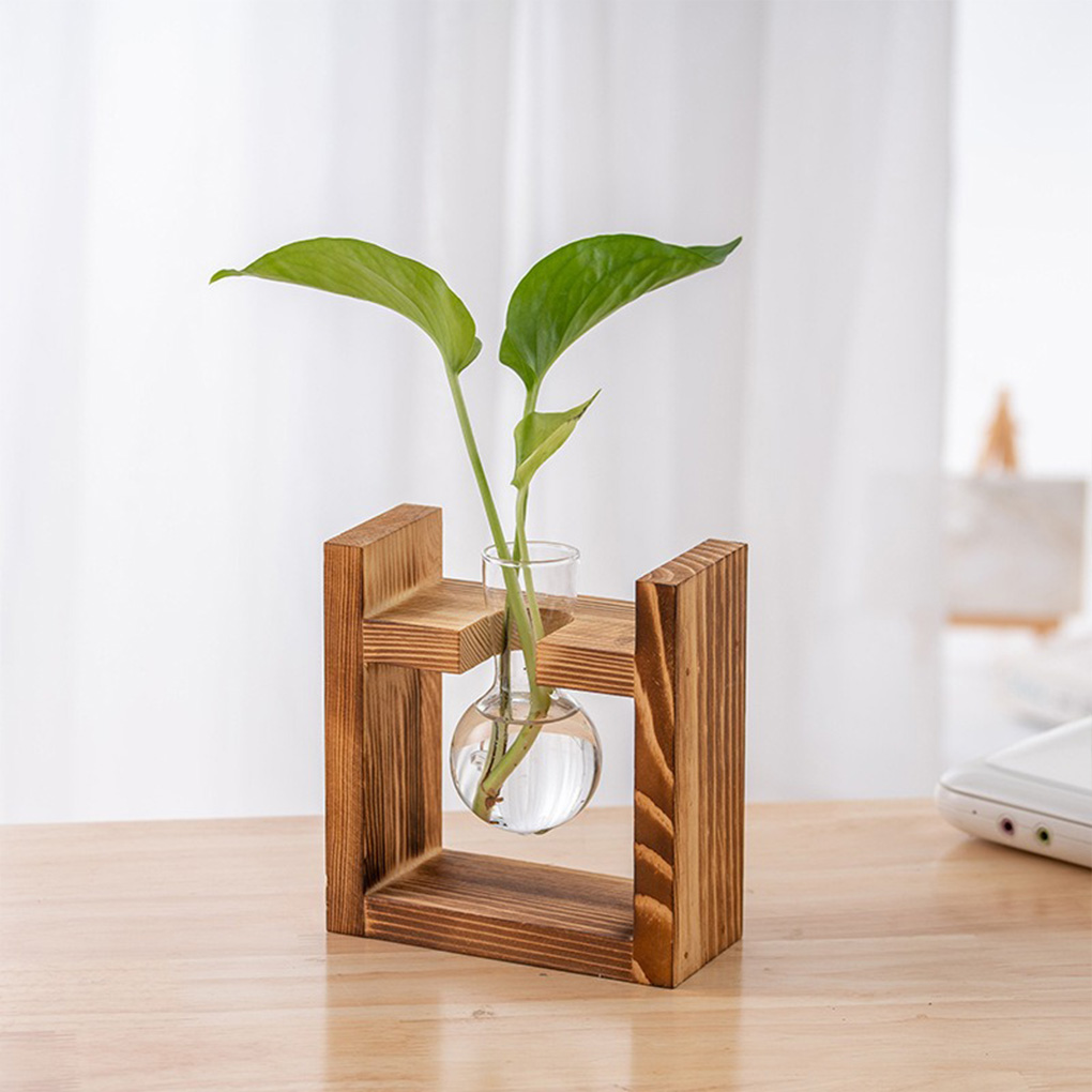 Вазы для домашнего офиса, гидр – обзор и цена Propagation Station Vase
