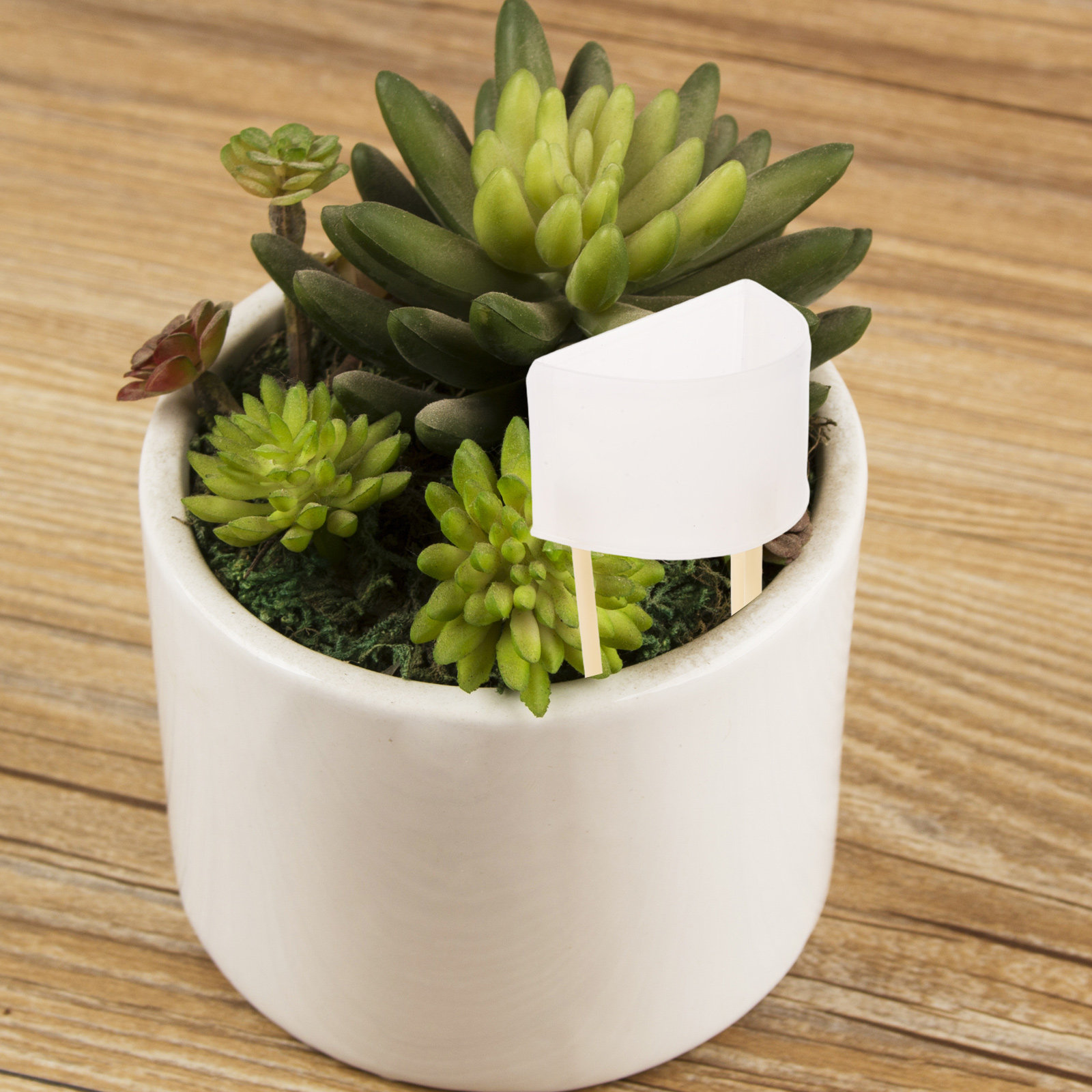 Регулируемый поливочный шип с  – обзор и цена Self Watering Insert