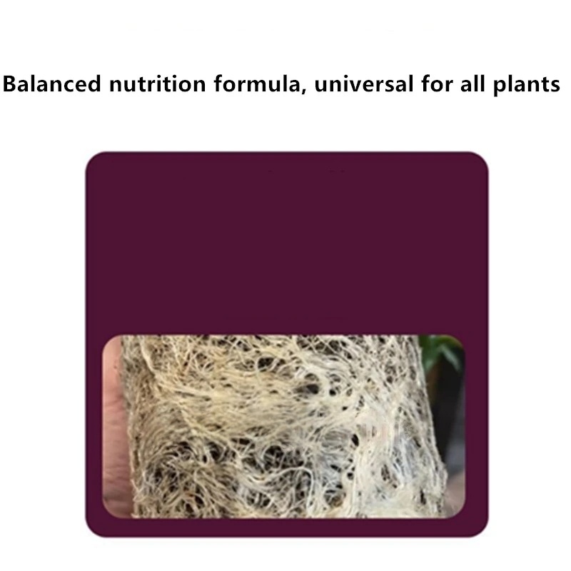 2 пакета порошка для укоренени – обзор и цена Rooting Hormone Powder