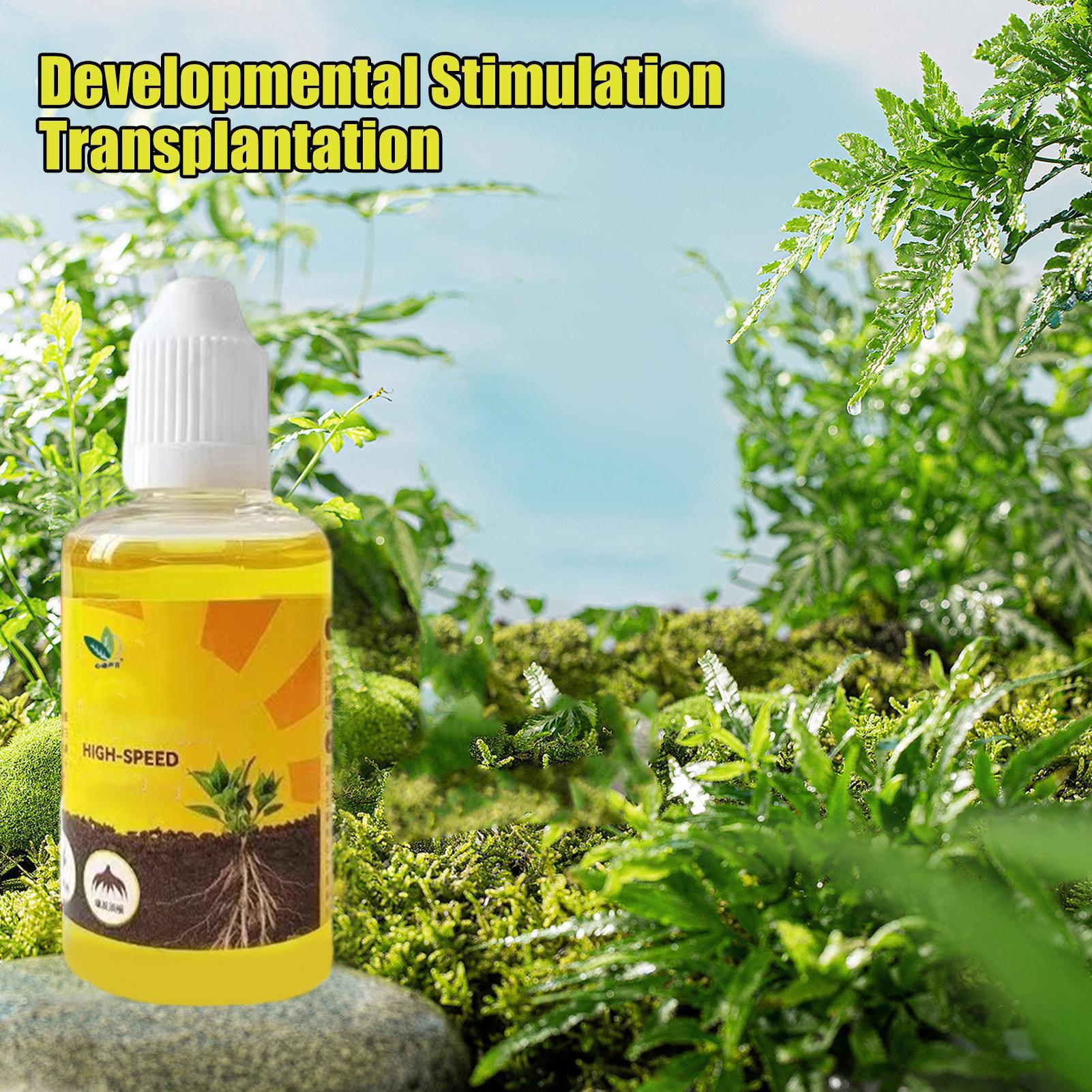 Быстрое укоренение в горшках,  – обзор и цена Root Stimulator Liquid